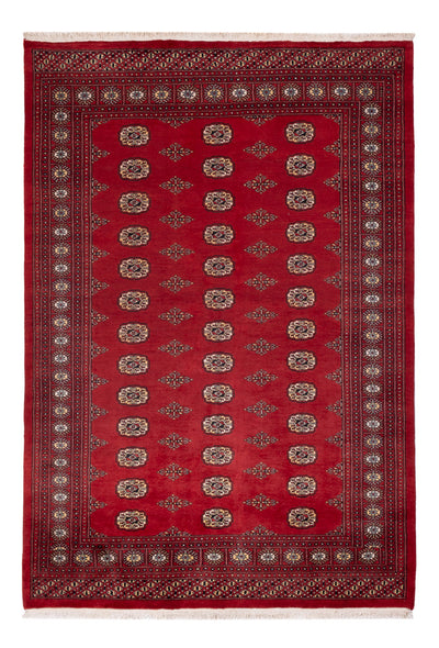 Tappeto Pakistani 165x235cm - Tappeto orientale