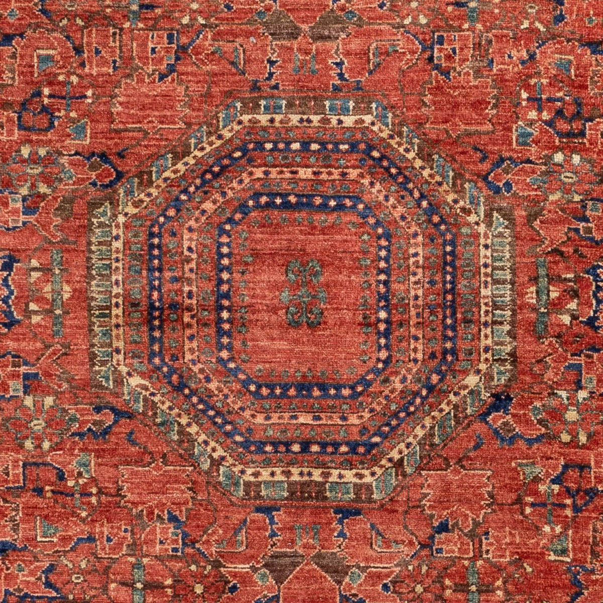 Tappeto Ziegler - Kazak - 279 x 184 cm - rosso chiaro