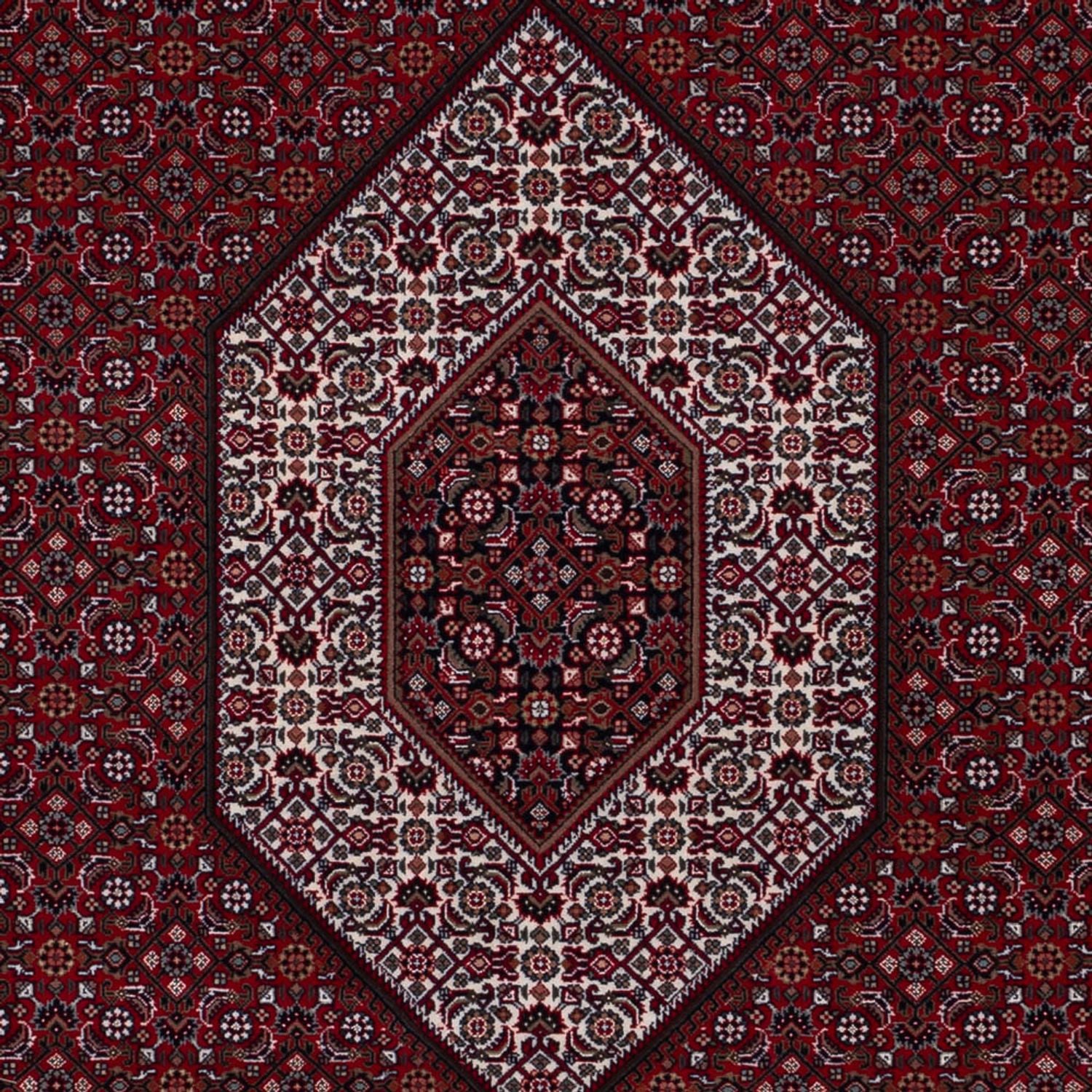 Orientteppich - Bidjar - Indus - 298 x 200 cm - dunkelcamel