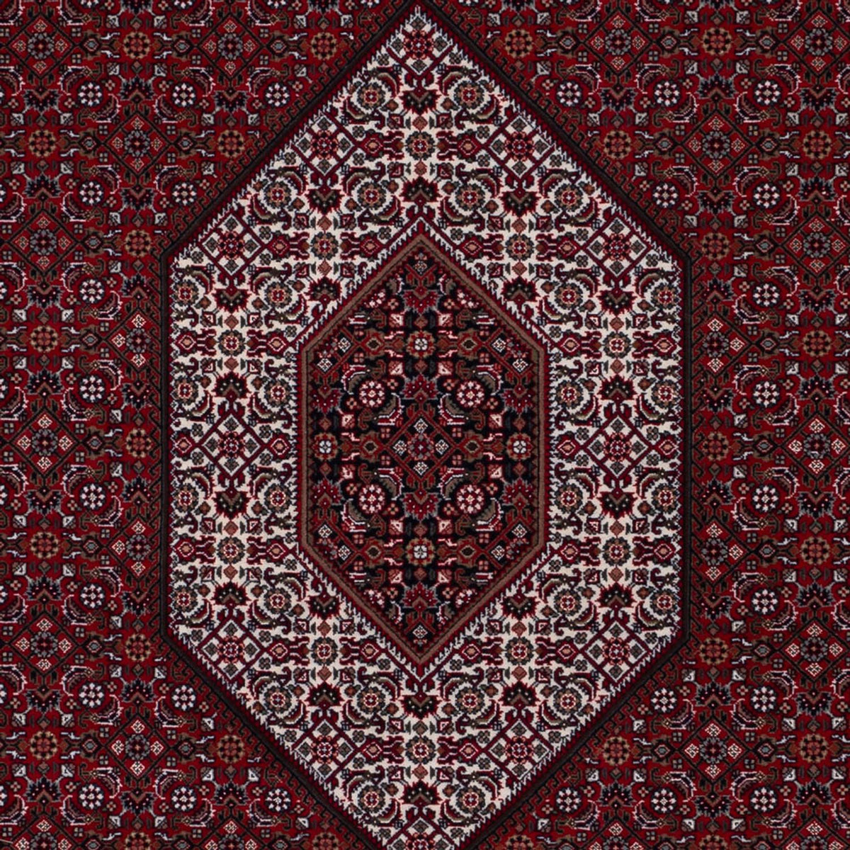 Tappeto orientale - Bidjar - Indo - 298 x 200 cm - cammello scuro