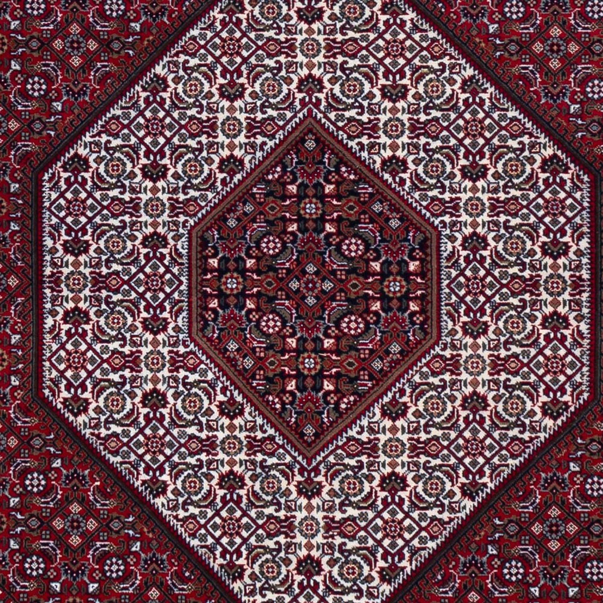 Tappeto orientale - Bidjar - Indo - 305 x 251 cm - rosso scuro