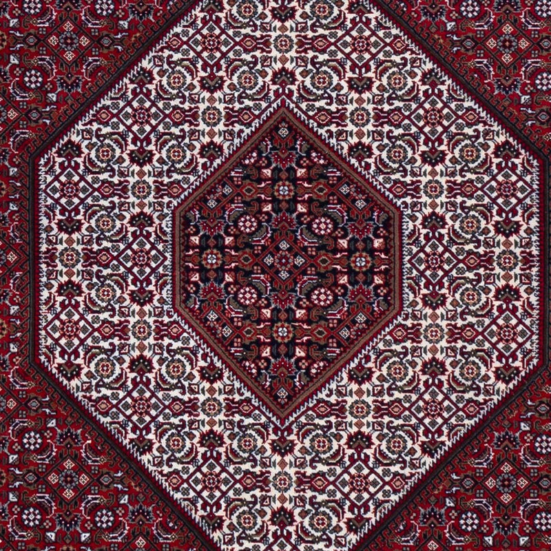 Tappeto orientale - Bidjar - Indo - 305 x 251 cm - rosso scuro