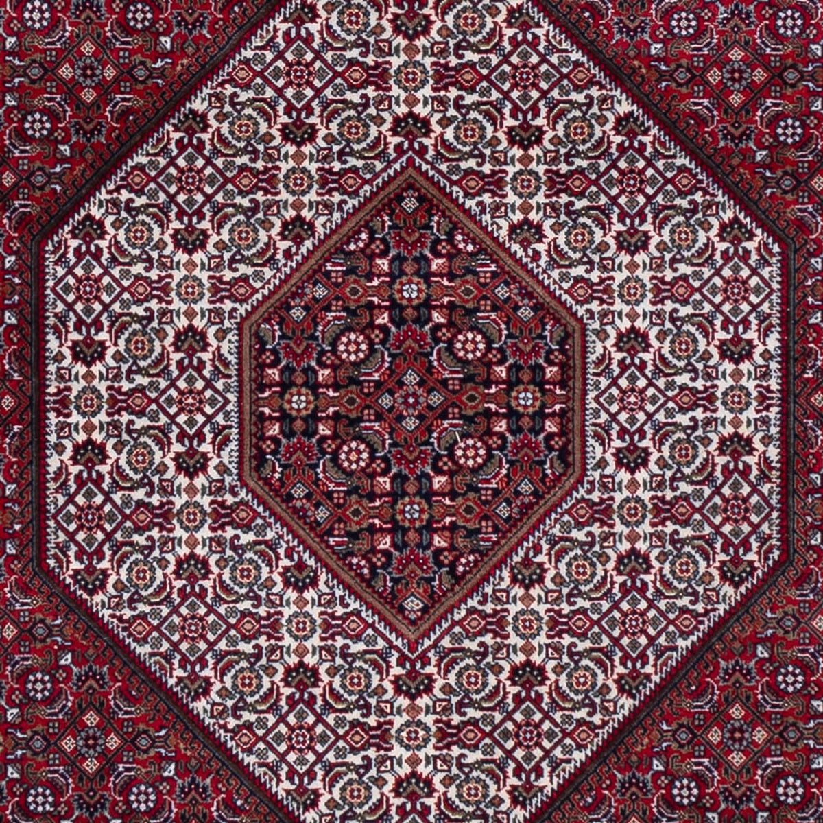 Tappeto orientale - Bidjar - Indo - 300 x 247 cm - rosso scuro