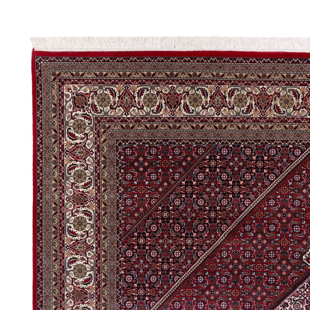 Tappeto orientale - Bidjar - Indo - 300 x 247 cm - rosso scuro