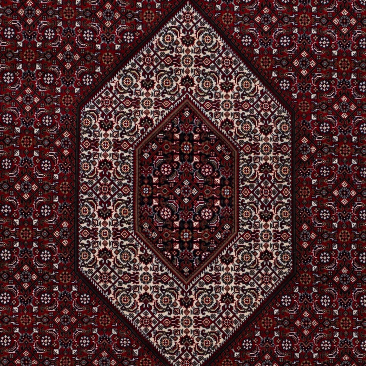Orientteppich - Bidjar - Indus - 305 x 198 cm - dunkelcamel
