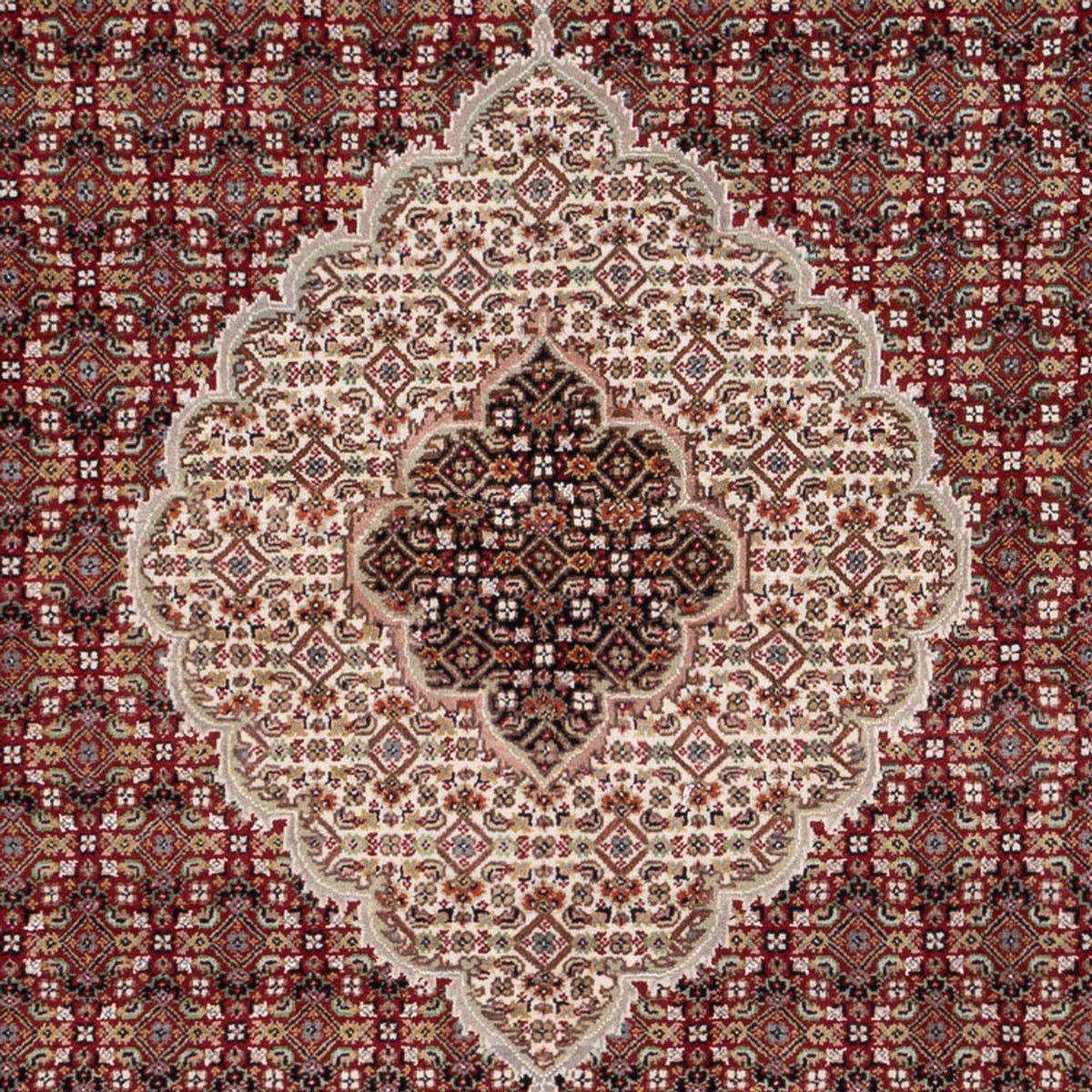 Tappeto orientale - Tabriz - 255 x 198 cm - beige scuro