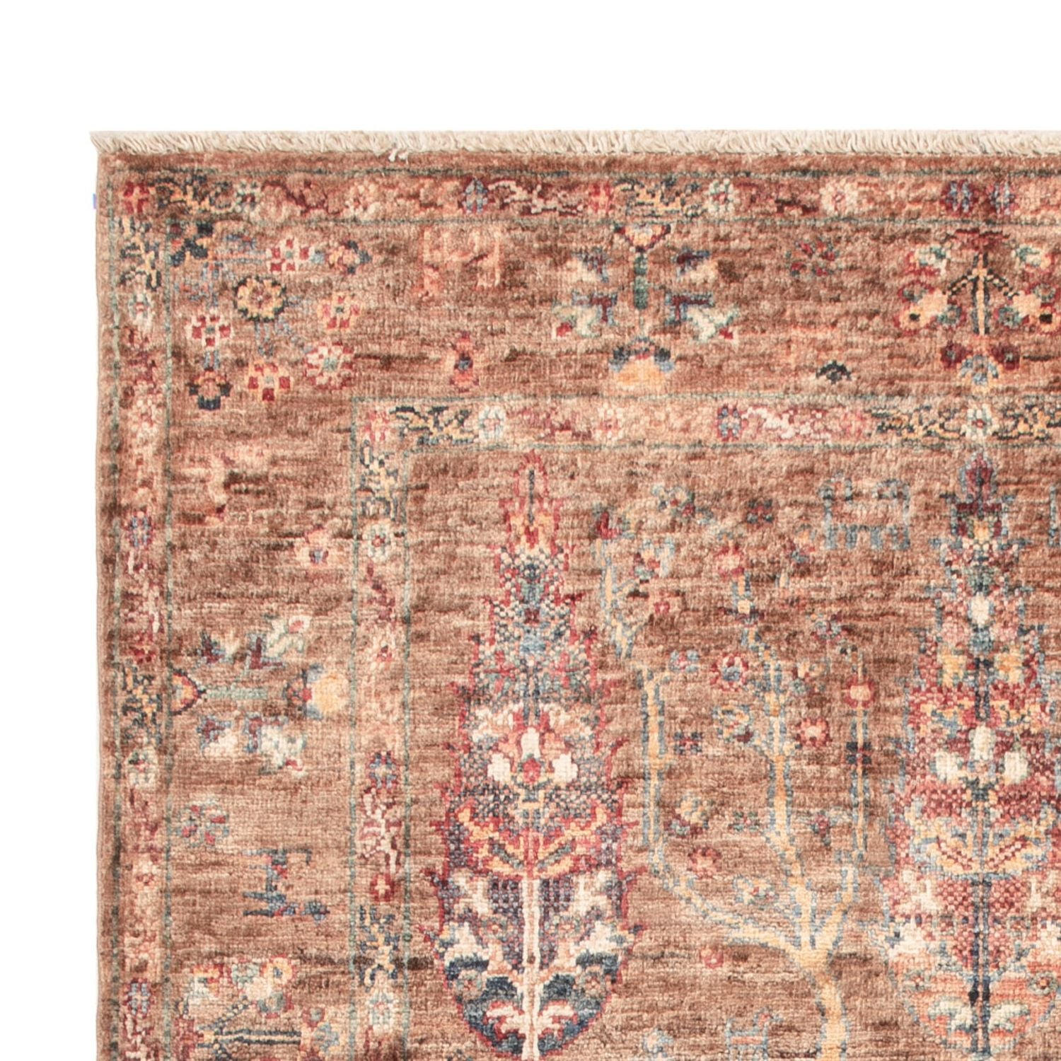 Tappeto Ziegler - Ariana - 149 x 102 cm - beige scuro