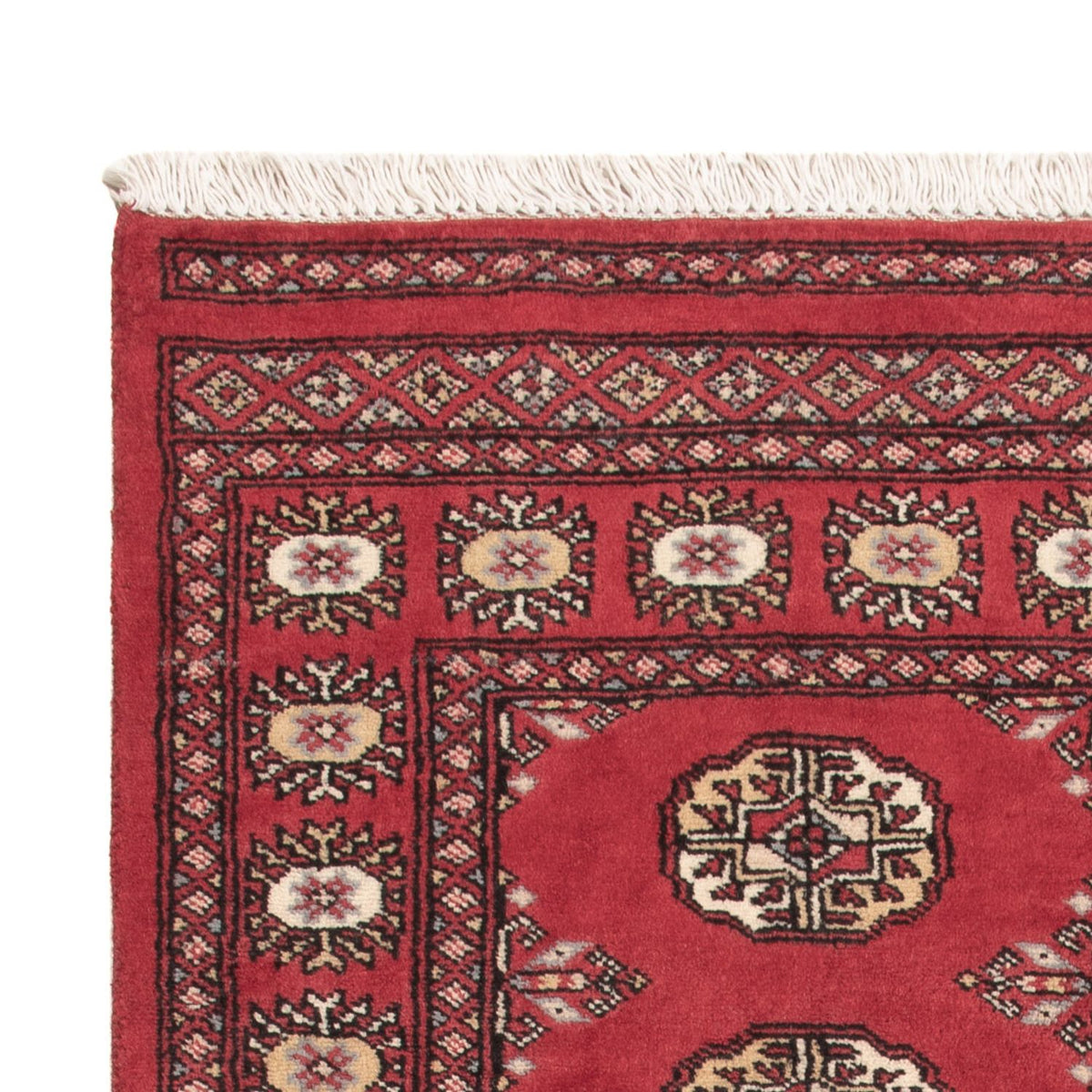Tappeto Pakistani - 156 x 92 cm - rosso