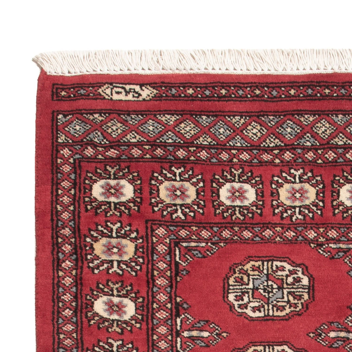 Tappeto Pakistani - 147 x 91 cm - rosso