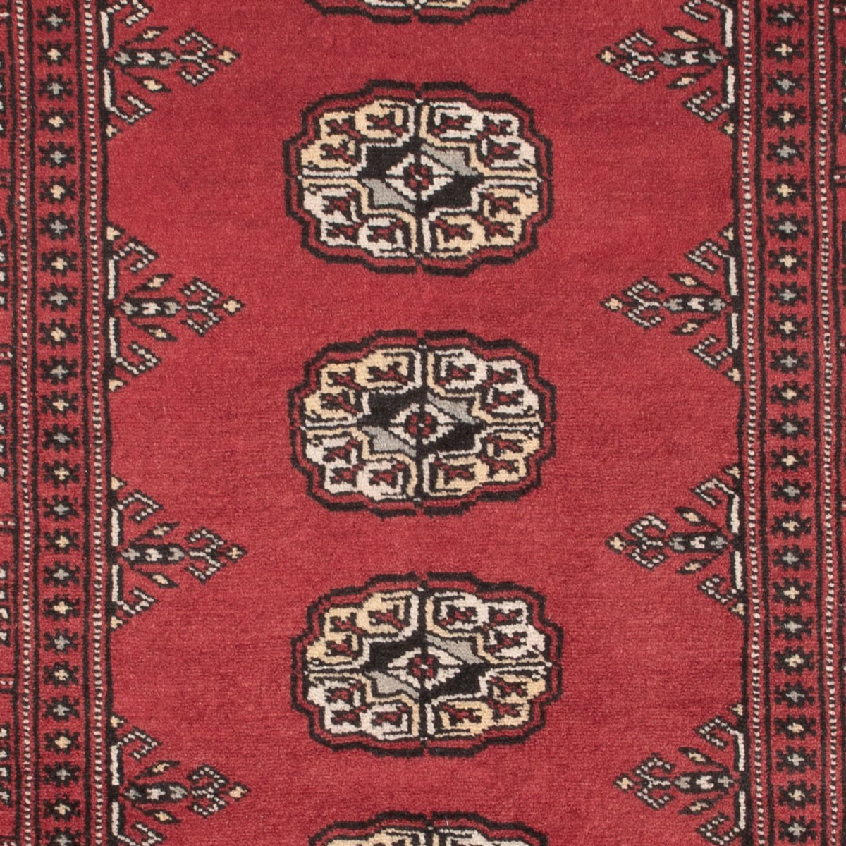 Tappeto Pakistani - 163 x 94 cm - rosso