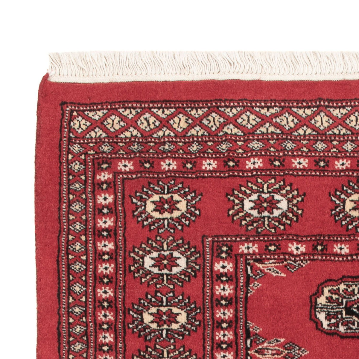 Tappeto Pakistani - 150 x 90 cm - rosso