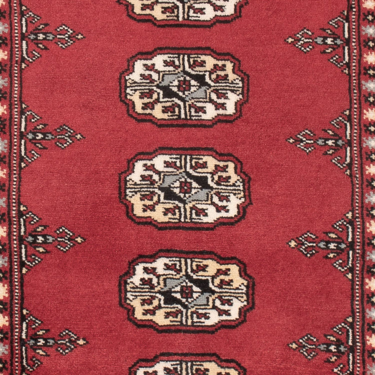 Tappeto Pakistani - 150 x 93 cm - rosso