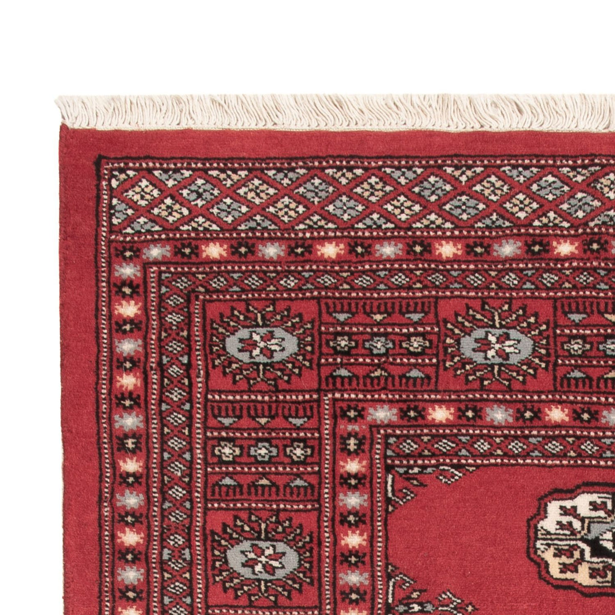 Tappeto Pakistani - 150 x 93 cm - rosso