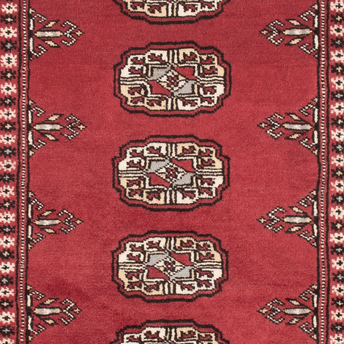 Tappeto Pakistani - 159 x 92 cm - rosso