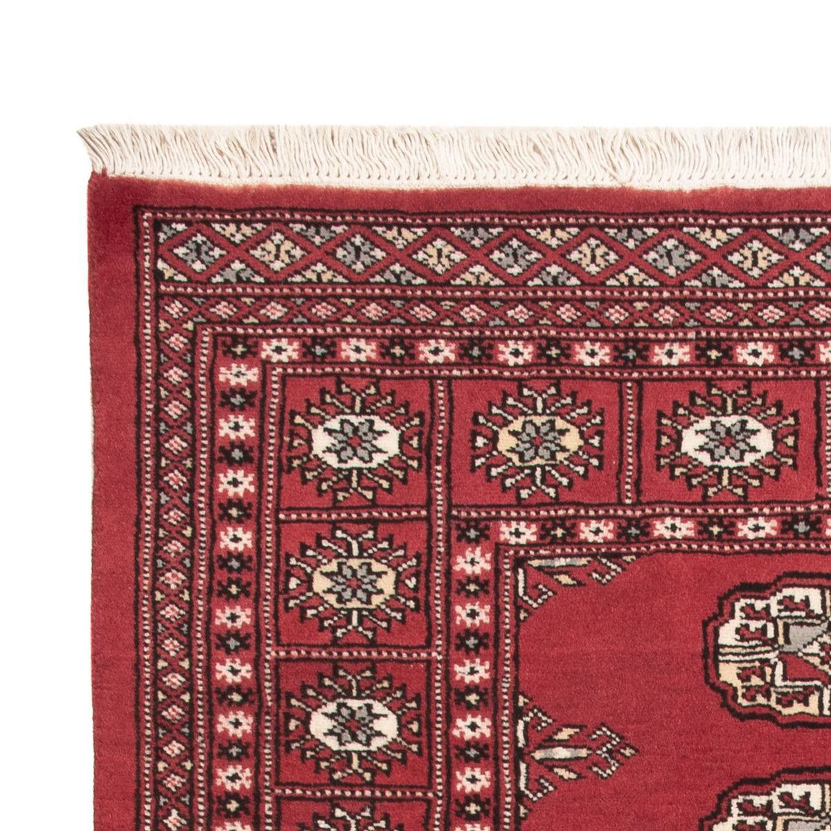 Tappeto Pakistani - 159 x 92 cm - rosso