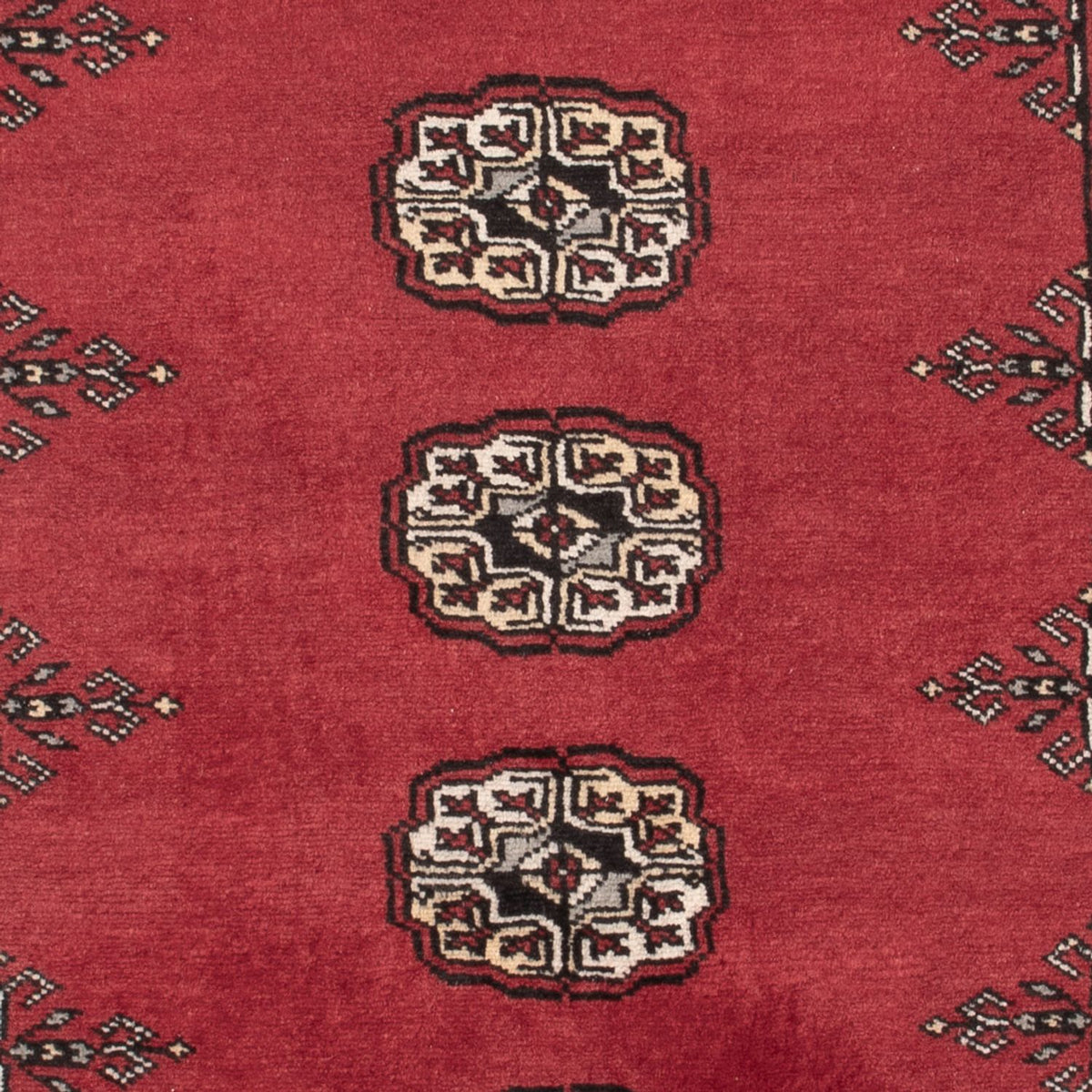 Tappeto Pakistani - 152 x 97 cm - rosso