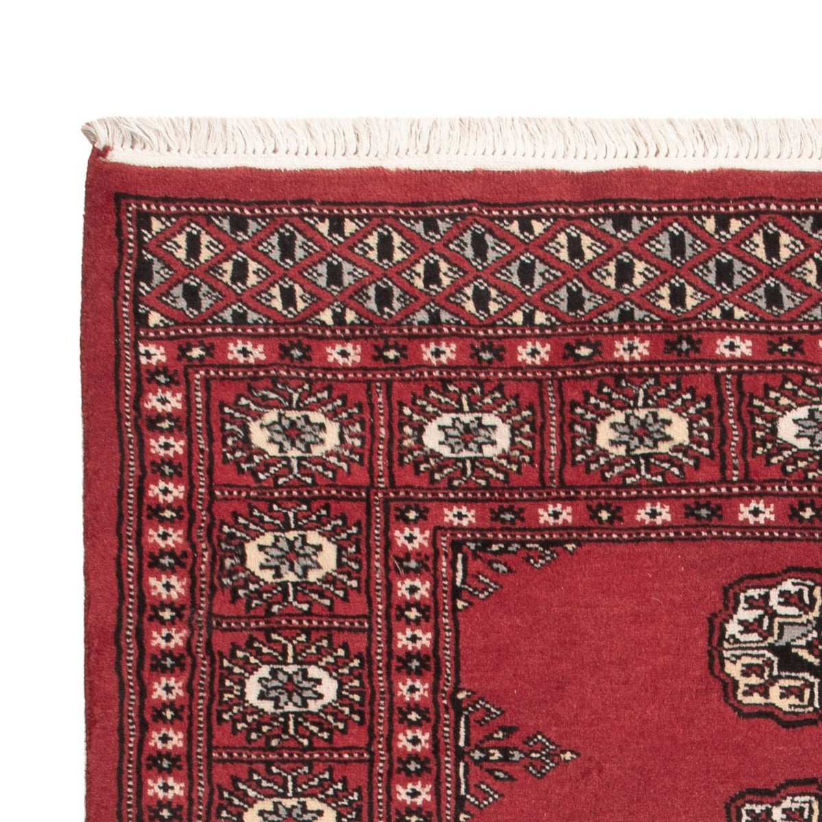 Tappeto Pakistani - 152 x 97 cm - rosso