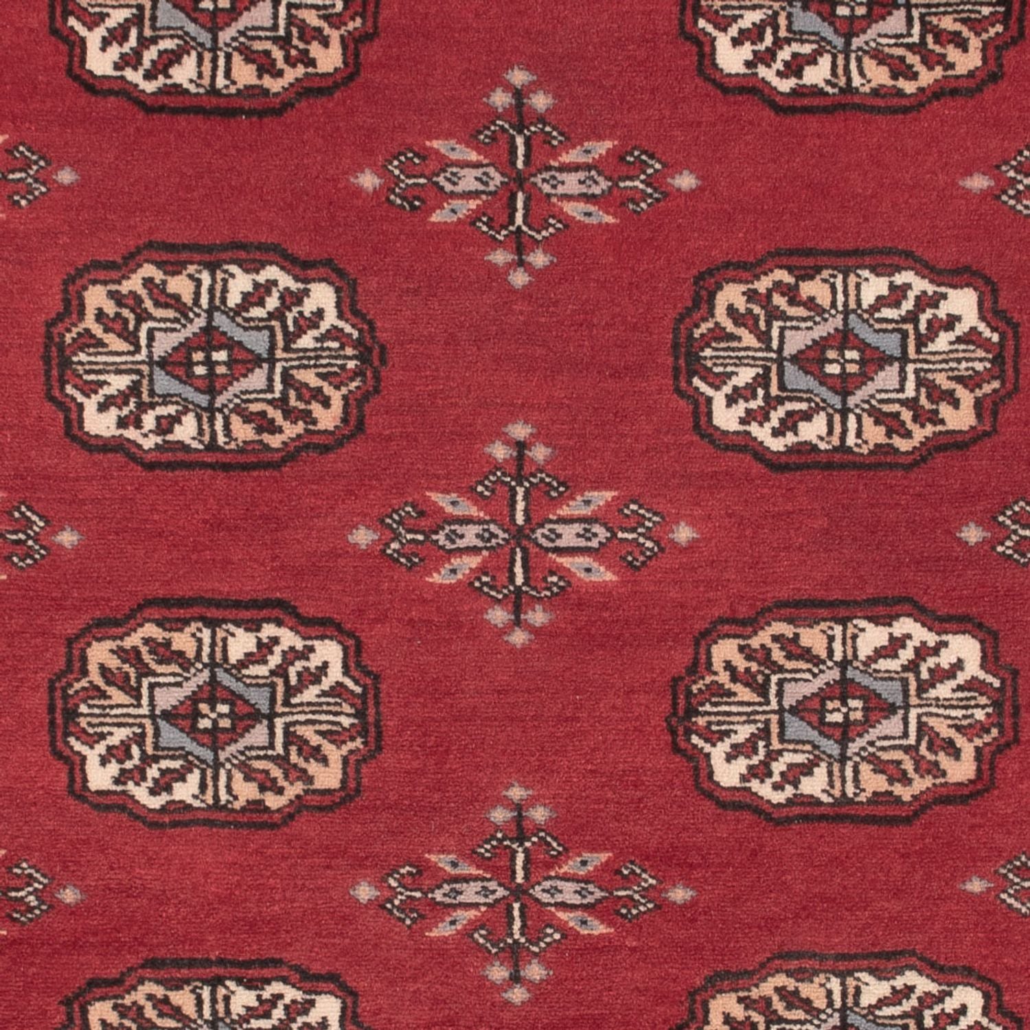 Tappeto Pakistani - 156 x 96 cm - rosso