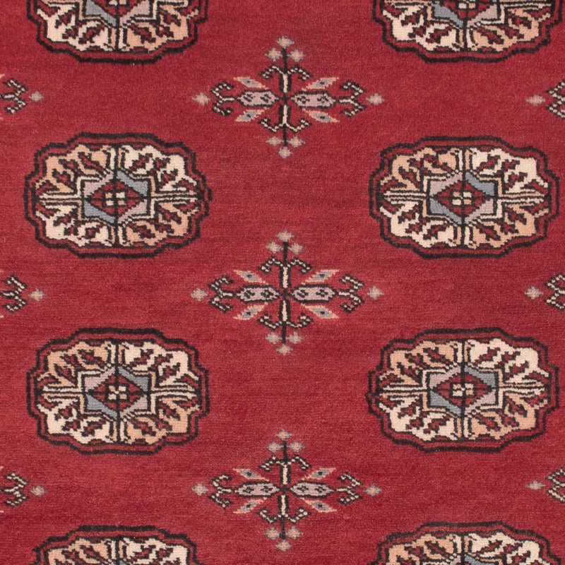 Tappeto Pakistani - 156 x 96 cm - rosso
