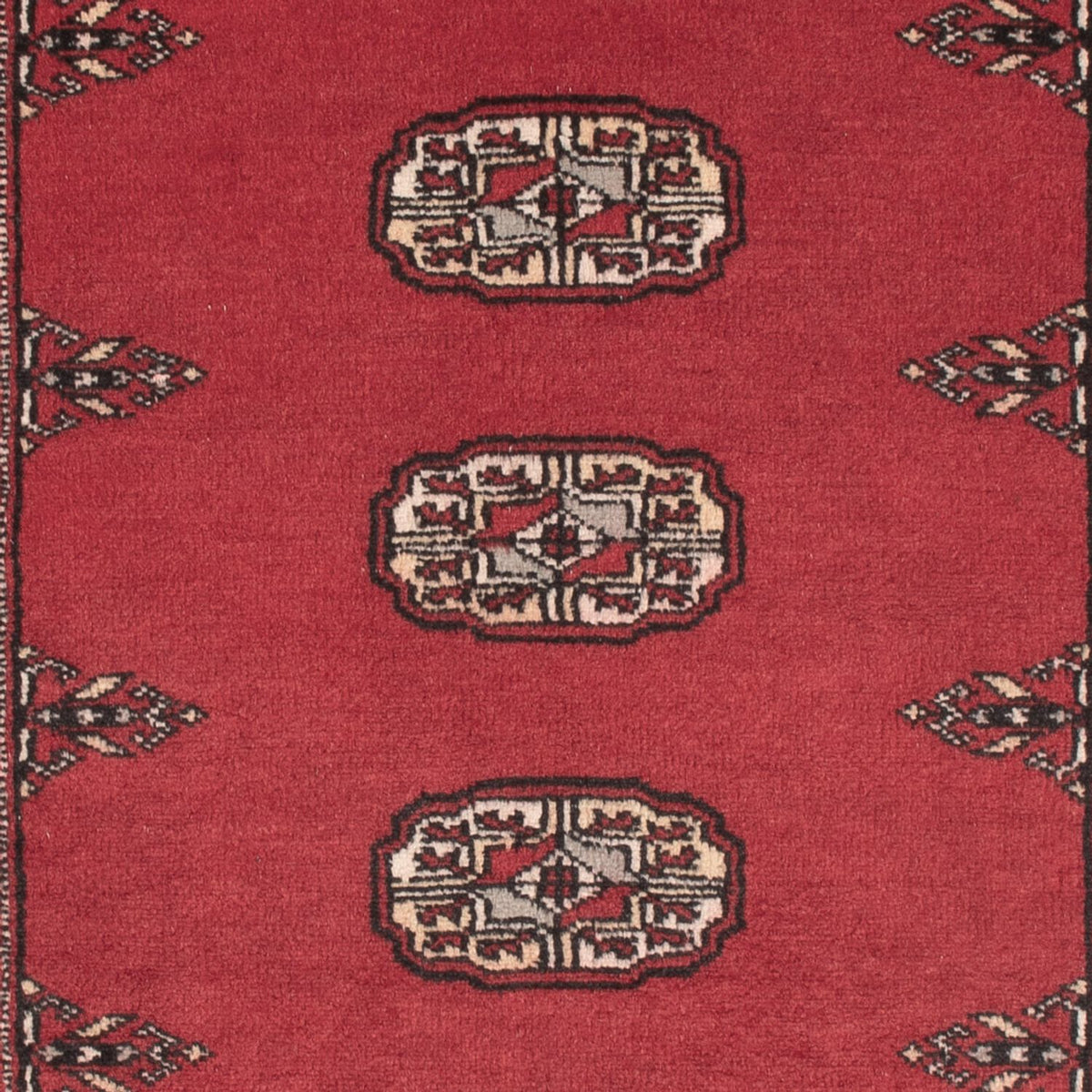 Tappeto Pakistani - 151 x 92 cm - rosso