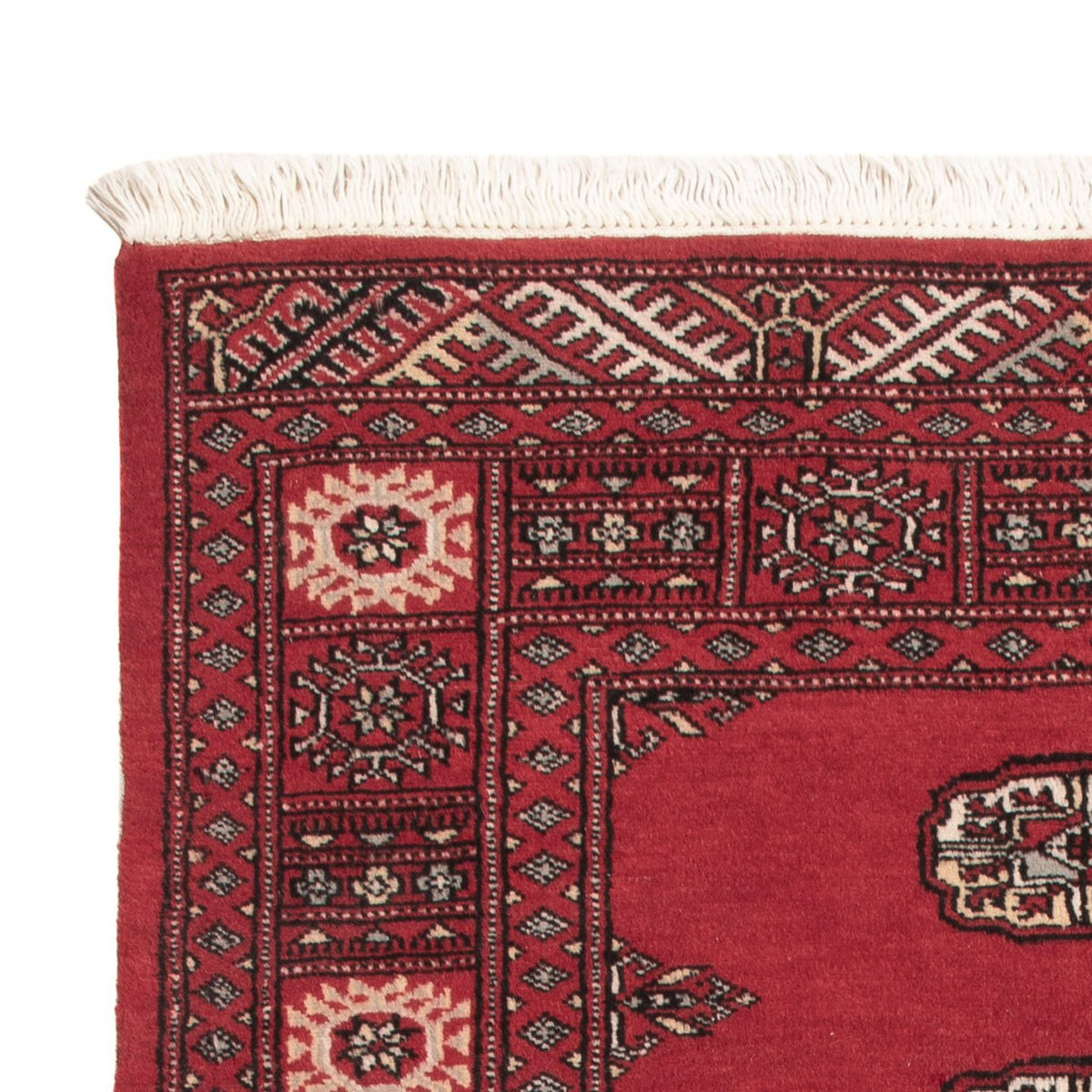 Tappeto Pakistani - 151 x 92 cm - rosso