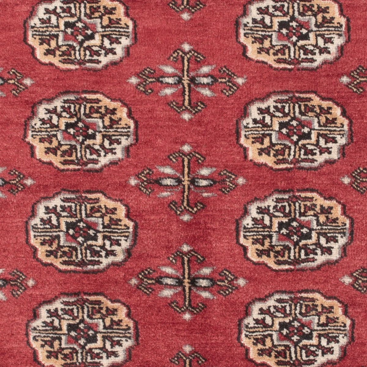 Tappeto Pakistani - 147 x 96 cm - rosso