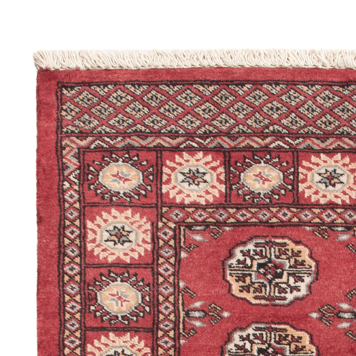 Tappeto Pakistani - 147 x 96 cm - rosso