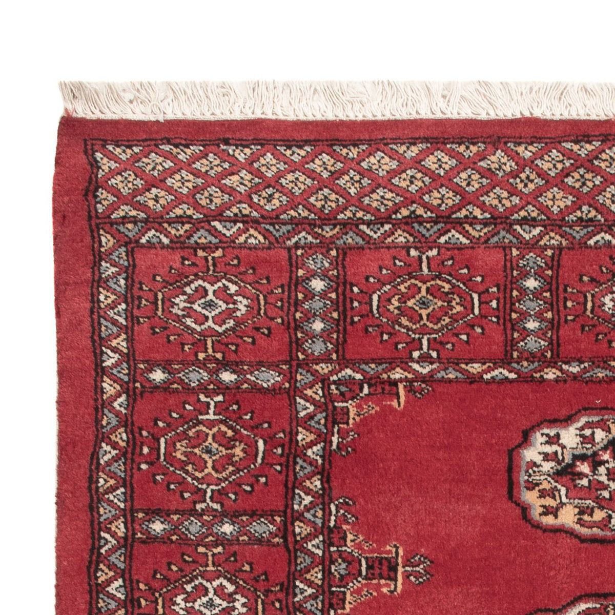 Tappeto Pakistani - 145 x 94 cm - rosso