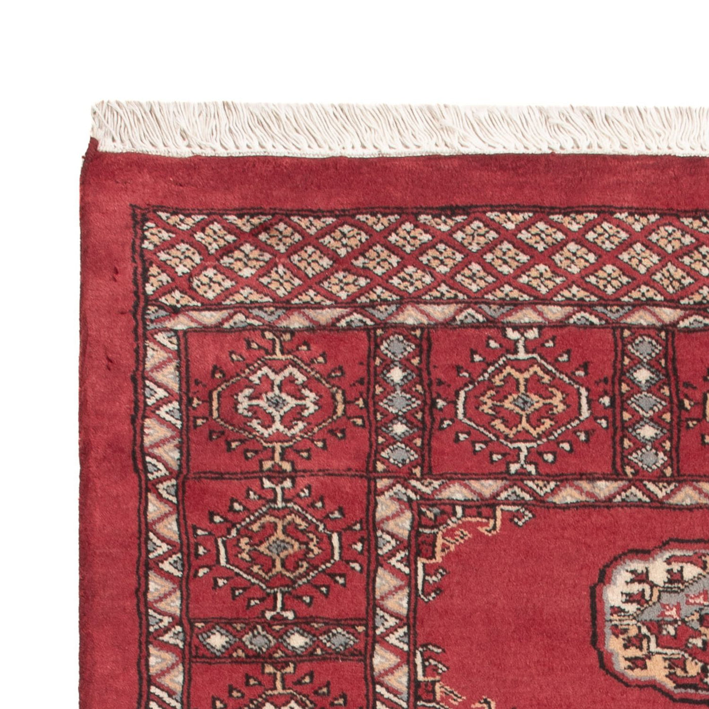Tappeto Pakistani 146x89cm - Tappeto orientale