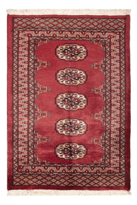 Tappeto Pakistani - 117 x 80 cm - rosso