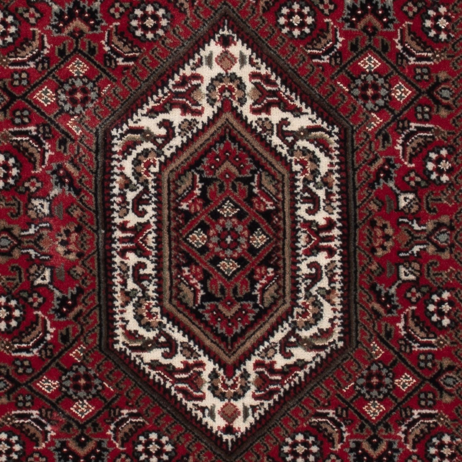 Tappeto orientale - Bidjar - Indo - 141 x 73 cm - beige scuro