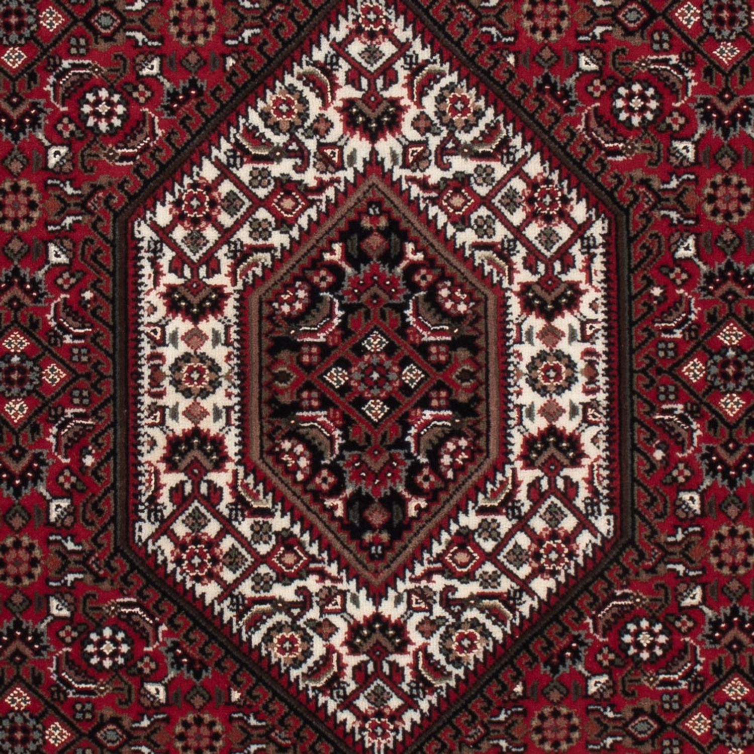 Tappeto orientale - Bidjar - Indo - 159 x 91 cm - beige scuro