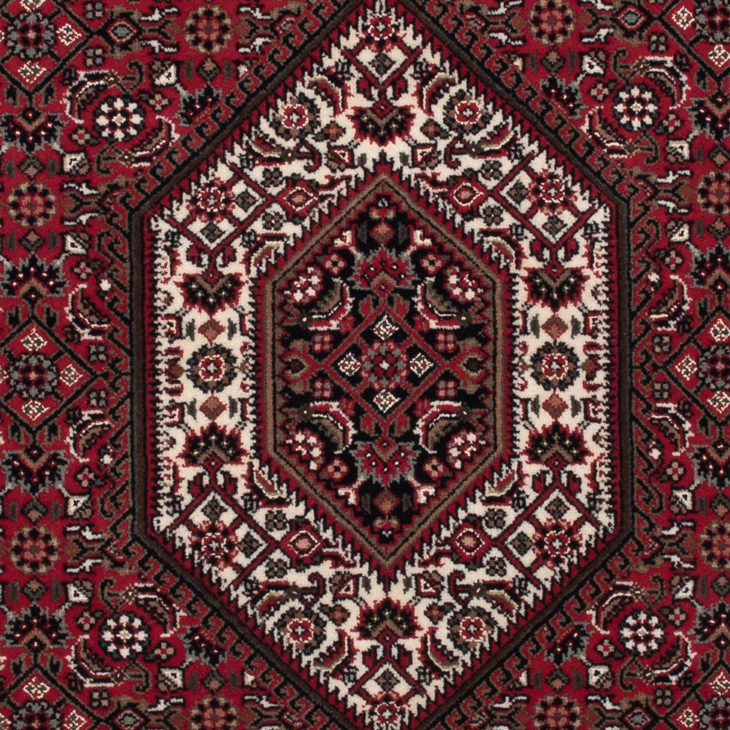 Tappeto orientale - Bidjar - Indo - 160 x 90 cm - beige scuro