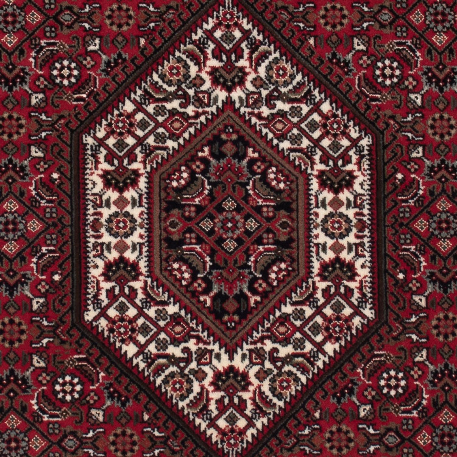 Tappeto orientale - Bidjar - Indo - 160 x 92 cm - beige scuro