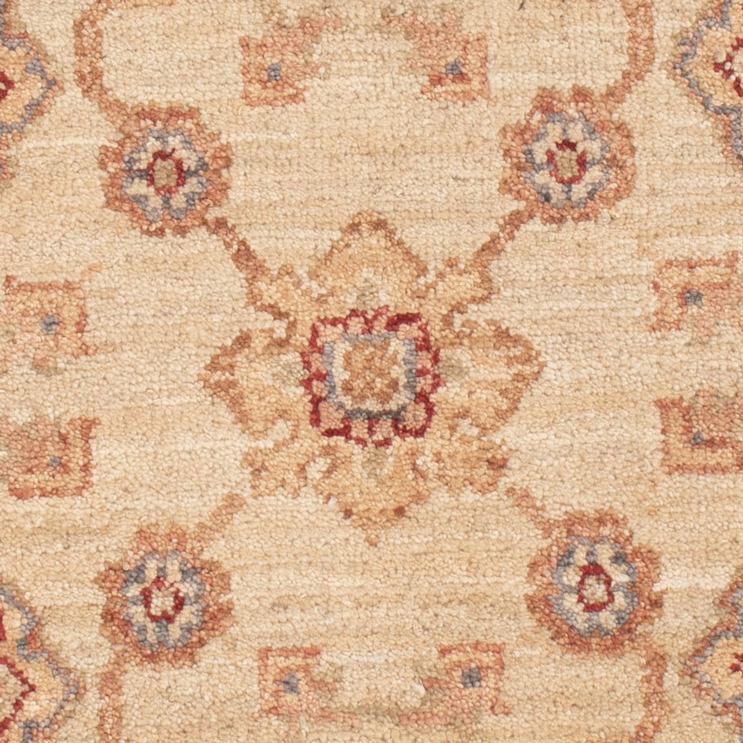 Tappeto Ziegler - 90 x 58 cm - beige