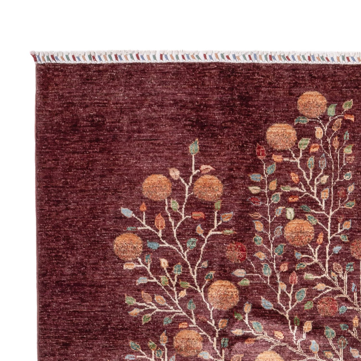 Tappeto Ziegler - Ariana - 300 x 206 cm - rosso