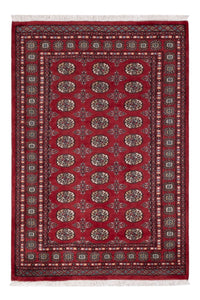 Tappeto Pakistani - 182 x 125 cm - rosso