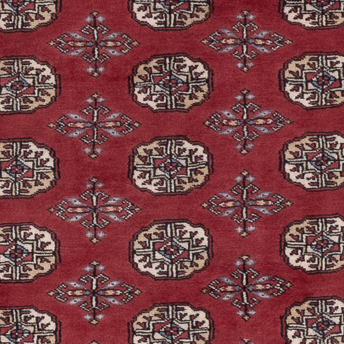 Tappeto Pakistani - 182 x 125 cm - rosso