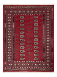 Tappeto Pakistani - 179 x 137 cm - rosso