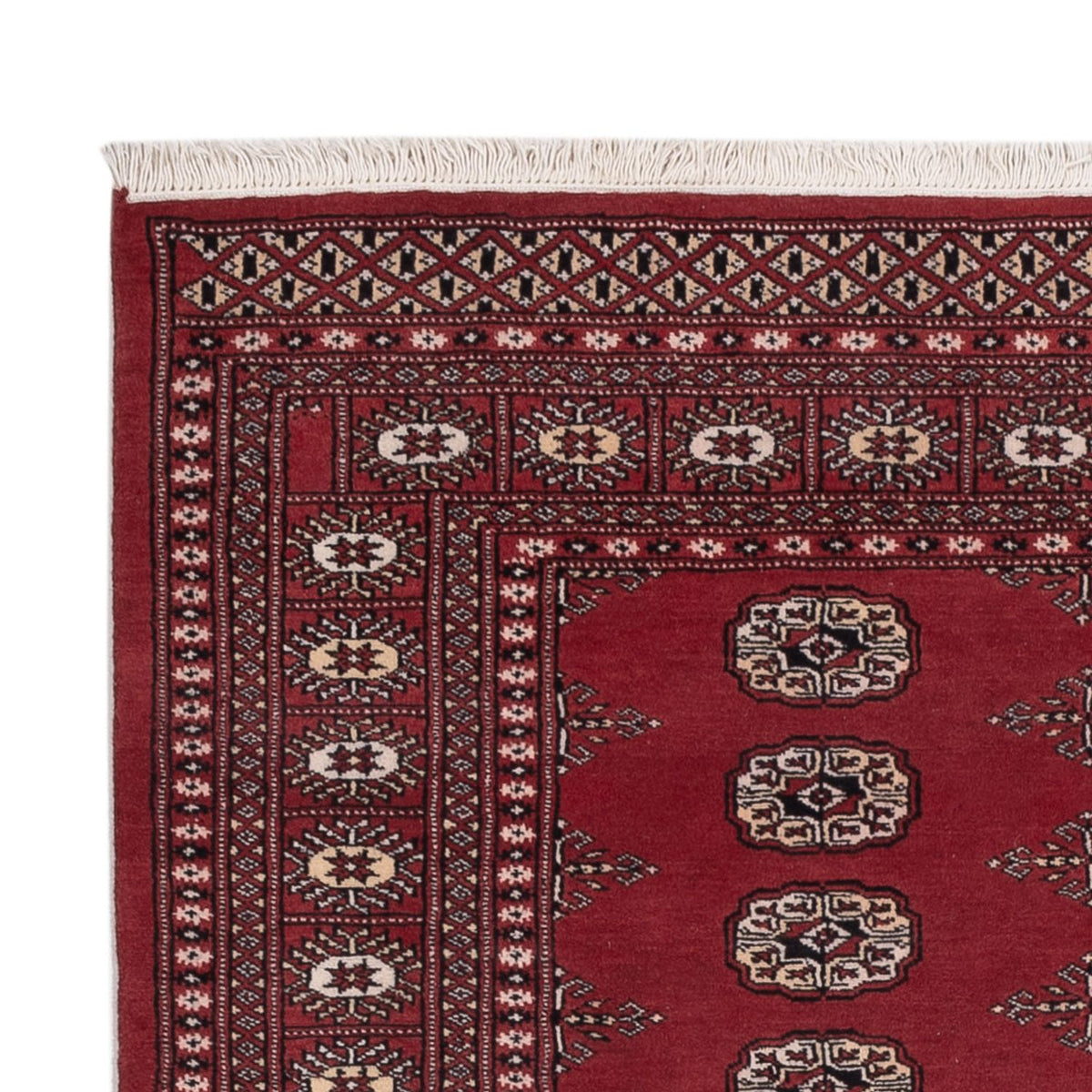 Tappeto Pakistani - 179 x 137 cm - rosso
