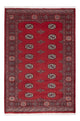 Tappeto Pakistani 185x126cm - Tappeto orientale