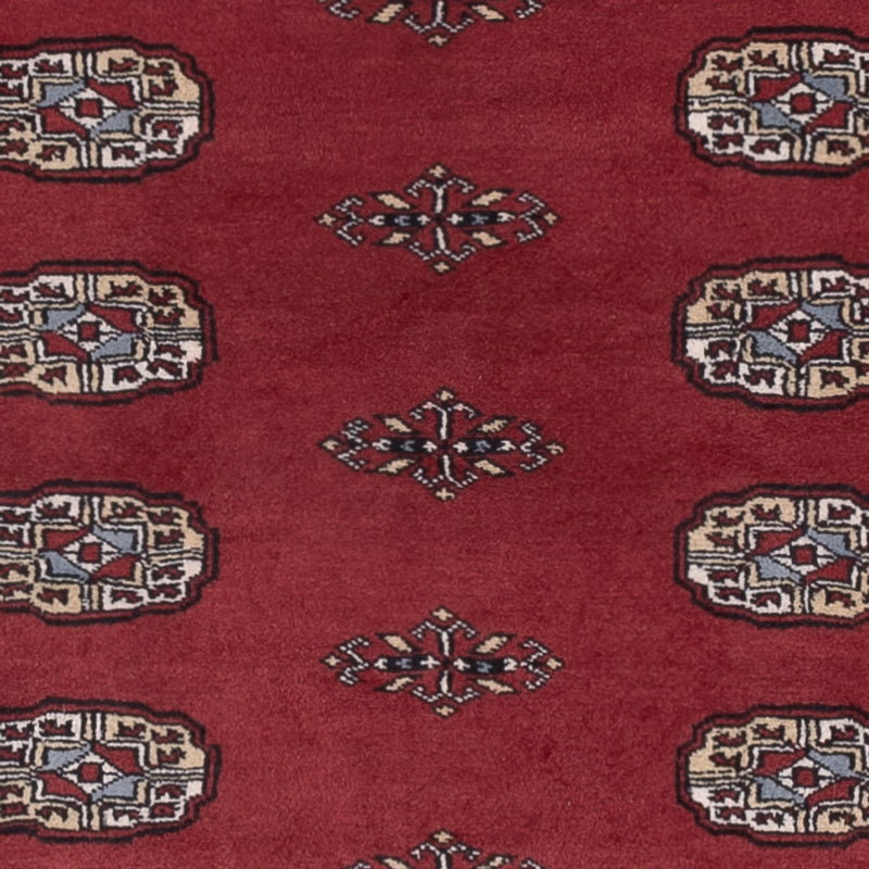 Tappeto Pakistani - 169 x 125 cm - rosso