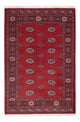 Tappeto Pakistani 184x126cm - Tappeto orientale