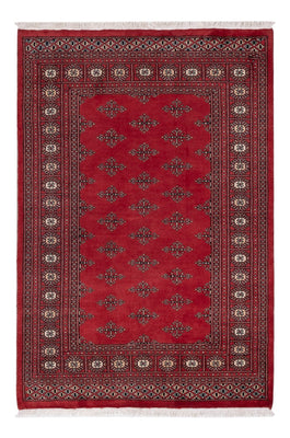 Tappeto Pakistani - 183 x 124 cm - rosso