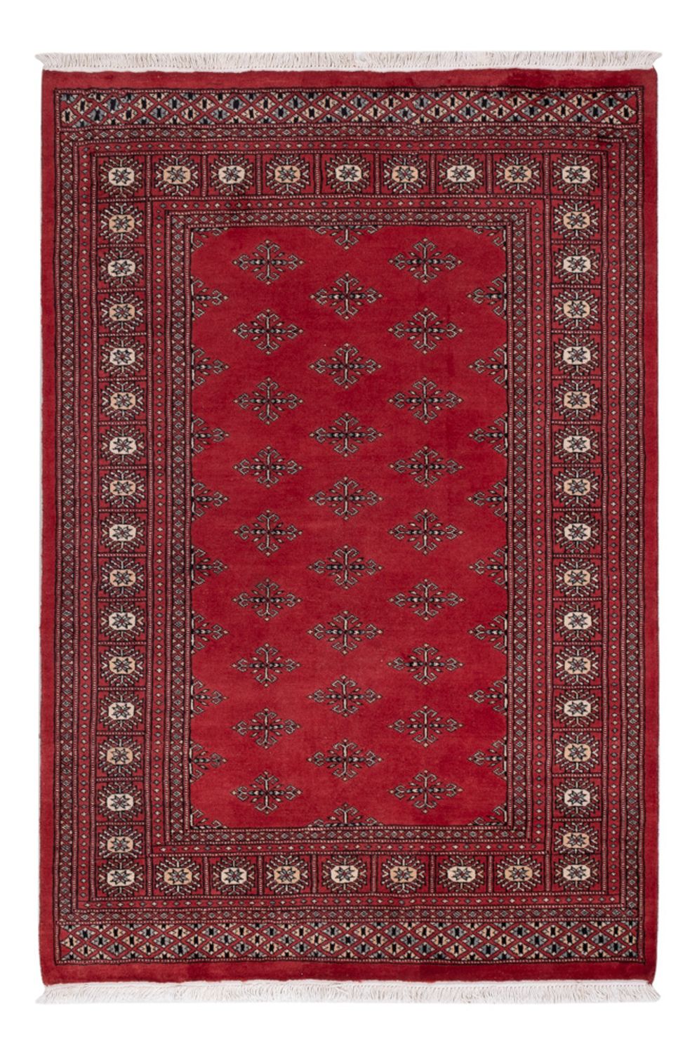 Tappeto Pakistani - 183 x 124 cm - rosso