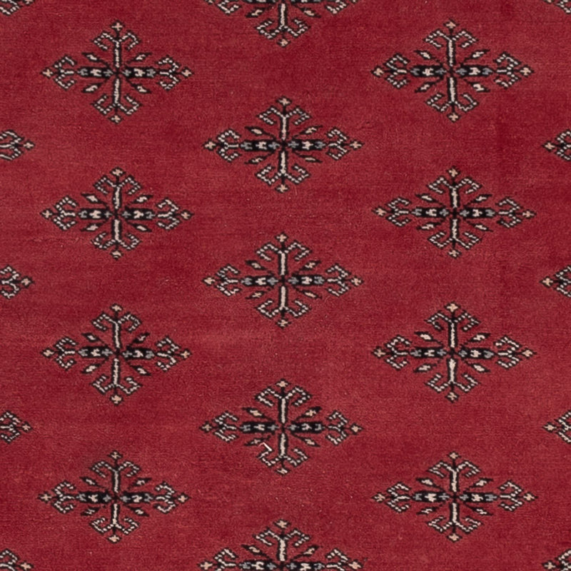 Tappeto Pakistani - 183 x 124 cm - rosso