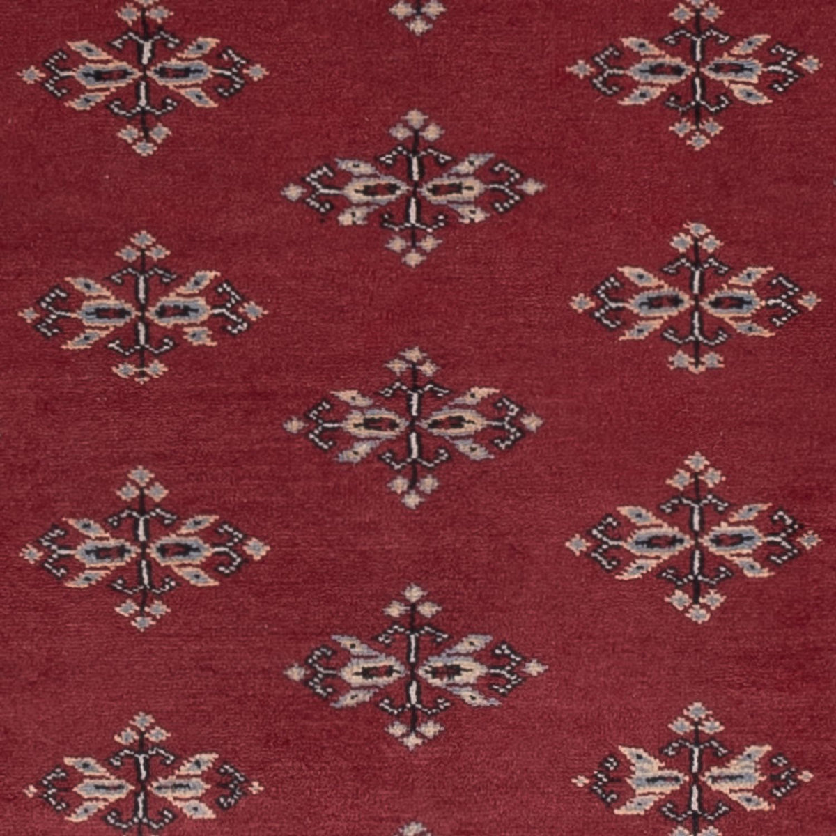 Tappeto Pakistani - 174 x 126 cm - rosso