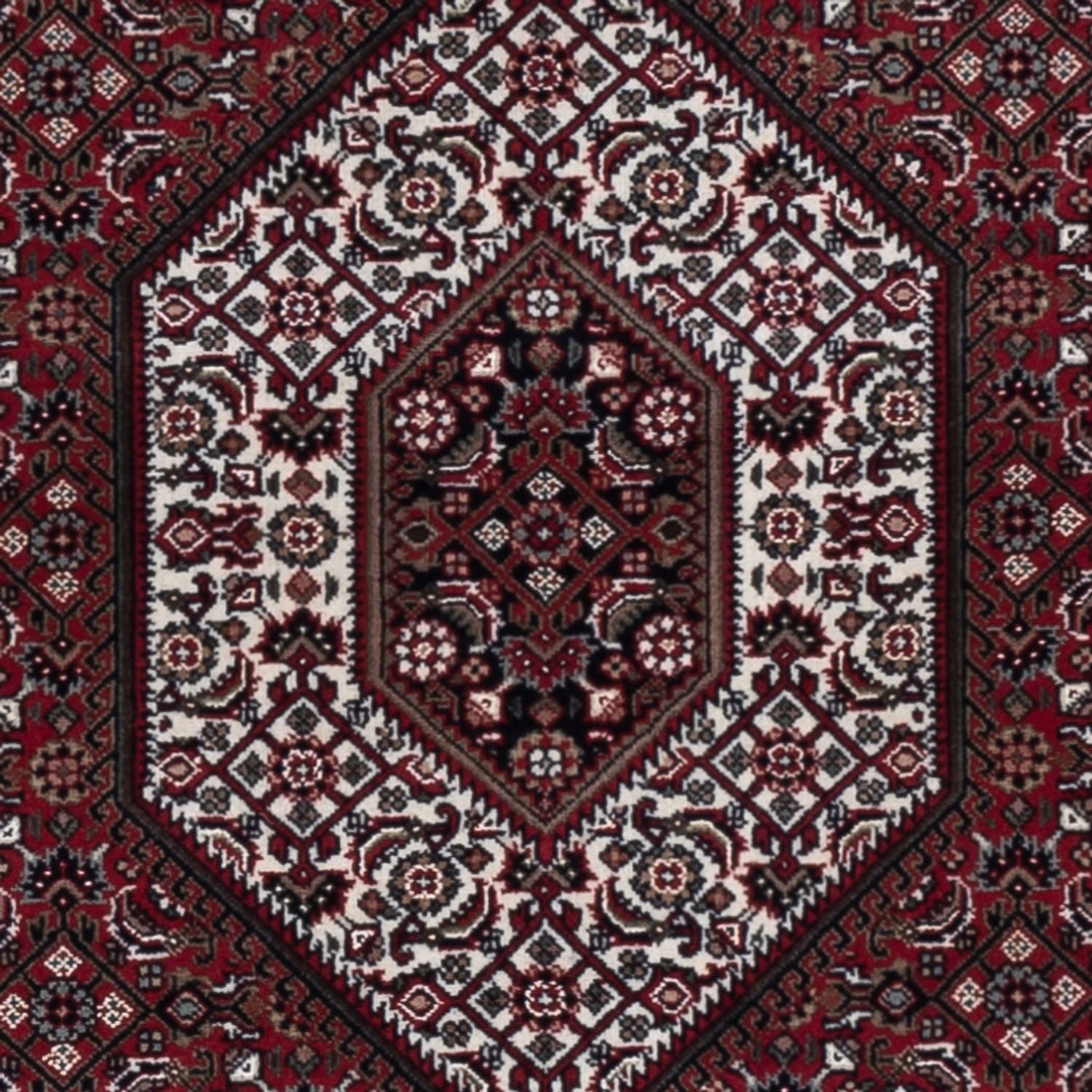 Tappeto orientale - Bidjar - Indo - 183 x 127 cm - beige scuro