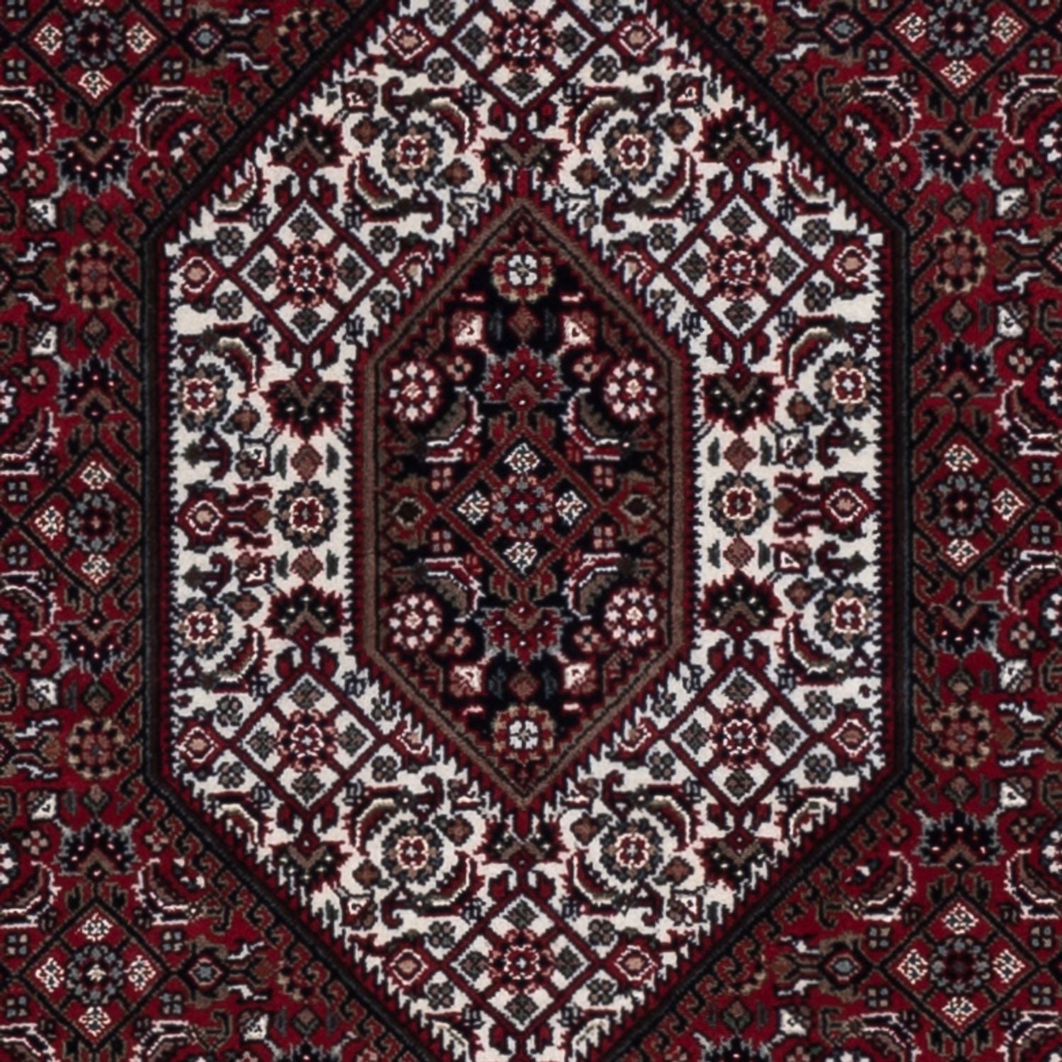 Tappeto orientale - Bidjar - Indo - 185 x 122 cm - beige scuro