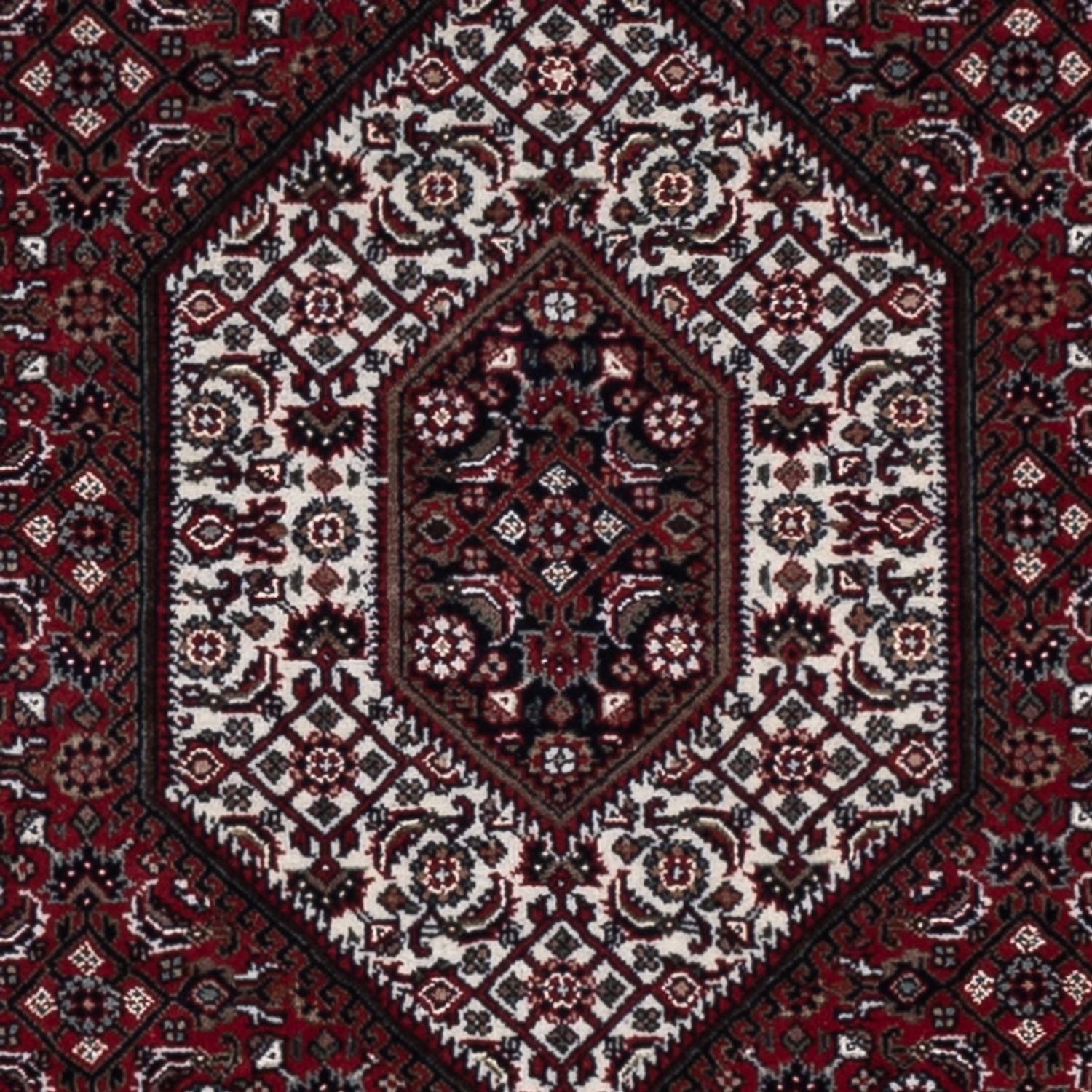 Tappeto orientale - Bidjar - Indo - 182 x 123 cm - beige scuro